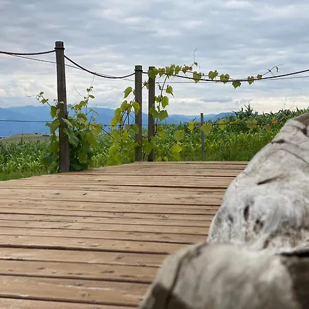 Ferienhaus Bird's Nest Hideaway Tinyhouses *